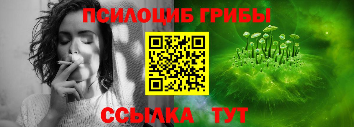 Галлюциногенные грибы Cubensis Когалым